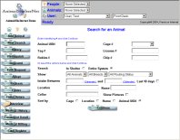 Search For An Animal