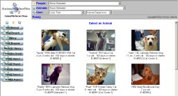 Select An Animal